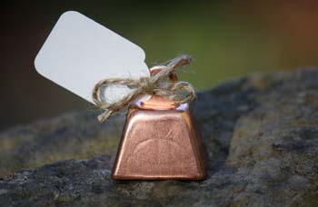 Silver Ceremony Wedding Bell (Bell Only)